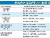 医疗报销最迟多久到账：全面解析各类医疗保险的到账时间