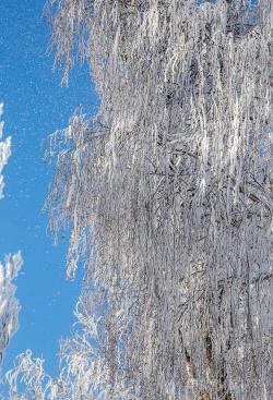 形容大雪纷飞的句子：美丽冬日的浪漫与宁静