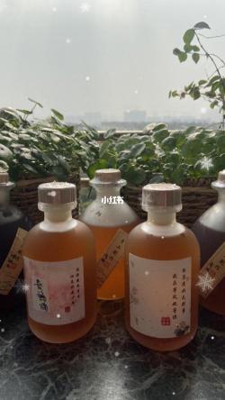 青梅煮酒：传统工艺与美味的邂逅