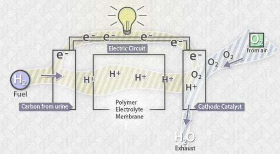 燃料电池原理：将化学能高效转换为电能