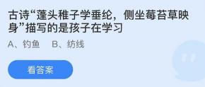 马后炮和打破砂锅问到底哪个是成语？支付宝蚂蚁庄园每日一题解析