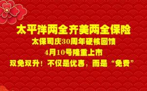 太平洋汽车保险查询：轻松便捷，省时省力