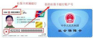 公司交了社保但没办卡：社保卡激活与医保卡使用指南