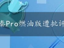 秦Pro燃油版遭批评：缺陷众多被指垃圾