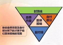 商业保险的三大险种：人寿、健康与财产保险的详解