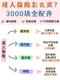 怎样买保险划算：从四大险种出发，为您量身定制经济实惠的保障计划