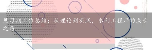 见习期工作总结：从理论到实践，水利工程师的成长之路