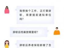 自动离职后社保怎么办？应对方法与注意事项