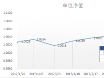 净值型理财产品：投资策略与收益模式的解析