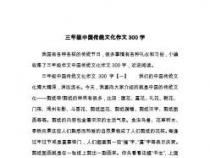 探索中国传统文化：一篇深入了解民俗特色的300字作文