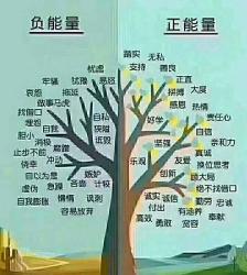 赞美老师的文章：奉献、付出与成长的力量