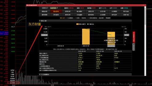 东方财富与同花顺：炒股软件的比较与选择