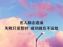 树无根不长的下一句：人无志不立，成功的秘诀在于热情