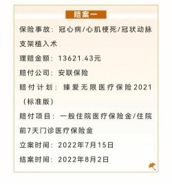 平安车险理赔到账时间：从报案到赔款，最快3天到账