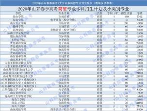 山东含专科的本科大学：全面解析与排名