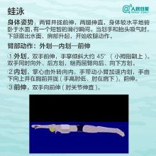 蛙泳腿部动作：详细解析与常见问题解答