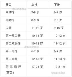 孩子换牙顺序图：6-13岁儿童牙齿生长全记录