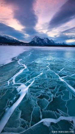 冬日雪景：纯净世界中的美丽与希望