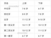 孩子换牙顺序图：6-13岁儿童牙齿生长全记录