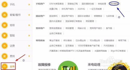 如何查询手机服务密码：以中国电信为例的详细指南