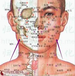 颊车穴：面部健康的关键穴位