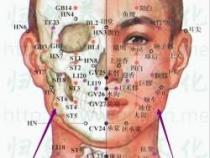 颊车穴：面部健康的关键穴位