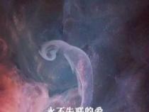 外祖父的坚韧之光：一份永不凋零的爱