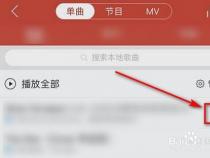 网易云怎么下载mp3格式：教你如何轻松下载会员曲目