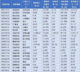 中国证券金融公司概览：133家机构活跃在资本市场