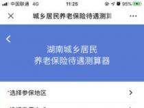 养老保险查询app：手机查询养老保险信息指南