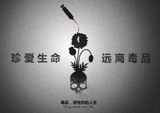 禁毒电影观后感：珍视生命，远离毒品