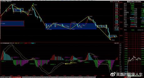 选股票看什么指标：基本面与技术面全方位解析