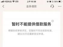 京东金条暂时无法提供借款服务：11大原因与应对之策