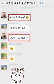 网络征婚交友骗局防范指南：识破陷阱，安全交友