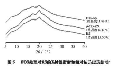 果糖是什么：深入解析其特性与来源