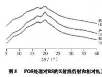 果糖是什么：深入解析其特性与来源