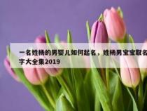 杨姓男孩取名：豪爽大气，展现独特魅力