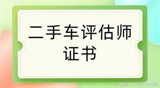 30万公里二手车能买吗？专业评估师的全面检测与建议