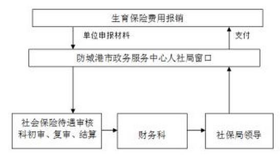 生育津贴申请全攻略：从准备到到账的详细流程