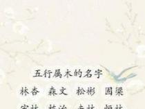 广字旁：寓意宽阔与宽容，给宝宝起名的精选之选