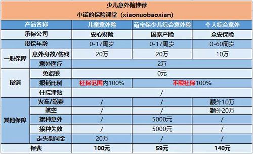 中国人寿意外险100元：全面保障意外风险，让您安心无忧