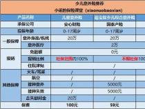 中国人寿意外险100元：全面保障意外风险，让您安心无忧