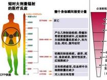 毫西弗（msv）：了解辐射剂量的基本单位