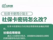 12333可以激活社保卡吗？操作方法及注意事项