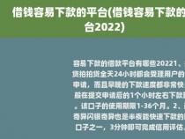 借款平台哪个最容易：十大借款平台全方位对比