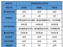 中国人寿意外险100元：全面保障，守护您的人生安全