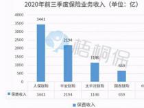 人保和大地车险哪个好？深度比较两者的优劣与差异