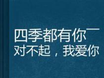 对不起，不再爱你了：告别过去，拥抱新生