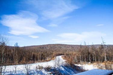 冬日雪景，心灵之旅：我的看雪作文