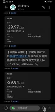 长银消费金融旗下小贷：逾期后果与影响解析